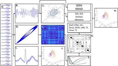 Cardiac and Autonomic Dysfunctions Assessed Through Recurrence Quantitative Analysis of Electrocardiogram Signals and an Application to the 6-Hydroxydopamine Parkinson’s Disease Animal Model